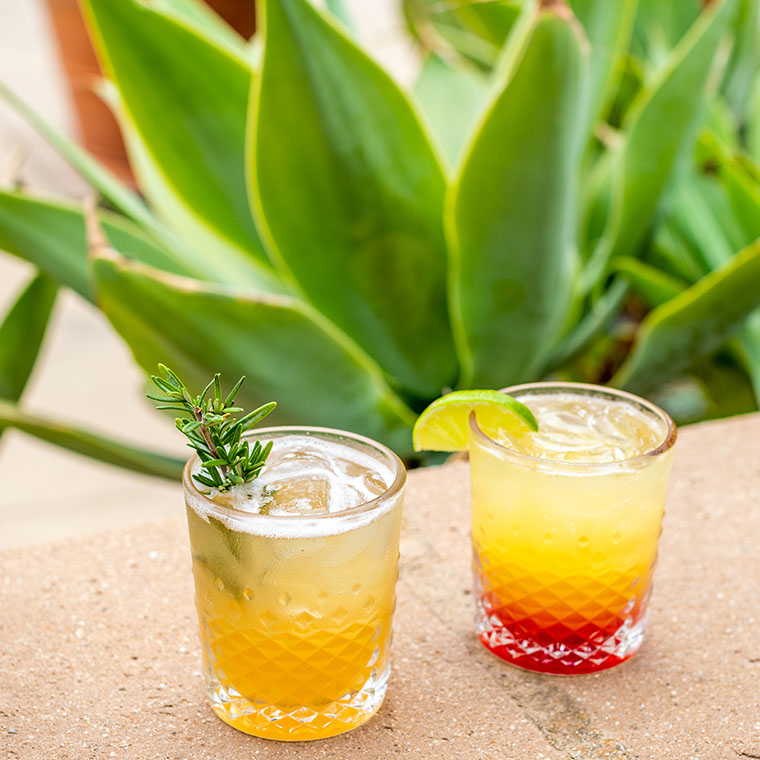 Spice Up Your Holiday with Our DIY Cocktails