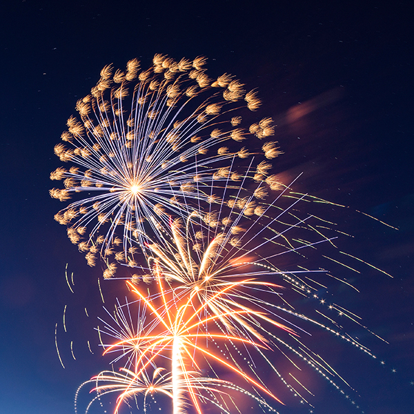 Celebrating with the Collection